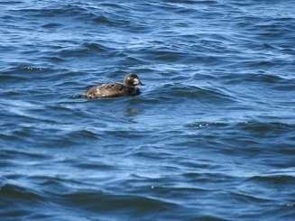 DSCN2195.JPG