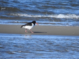 DSCN2215.JPG