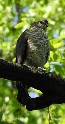 DSCN2222.JPG