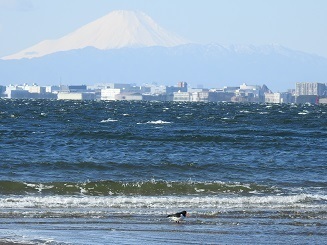 DSCN2242.JPG