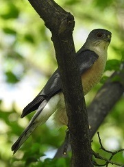 DSCN2246.JPG