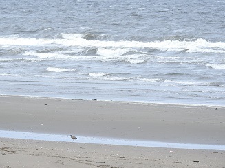 DSCN2693.JPG