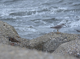 DSCN2707.JPG