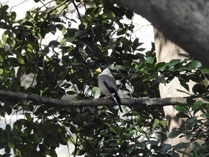 DSCN2748.JPG