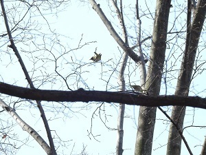 DSCN2773.JPG