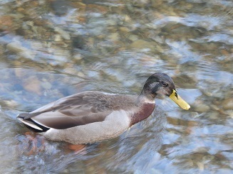 DSCN2791.JPG