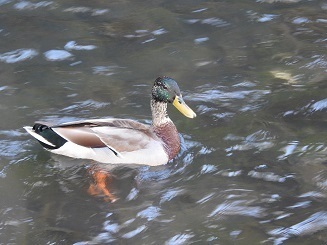 DSCN2795.JPG