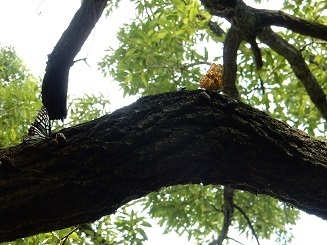 DSCN2872.JPG