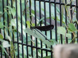 DSCN2881.JPG