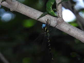 DSCN3008.JPG