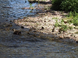 DSCN3327.JPG