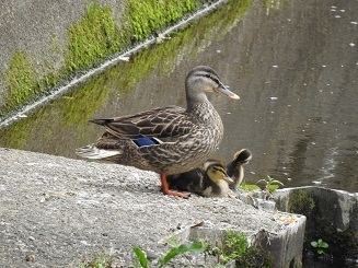 DSCN3405.JPG