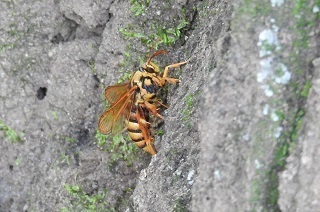 DSCN3746.JPG