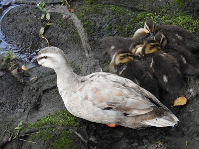 DSCN3982.JPG