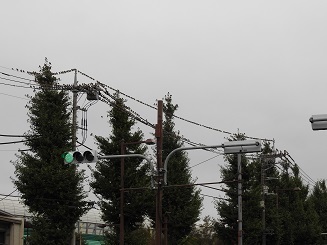 DSCN5260.JPG