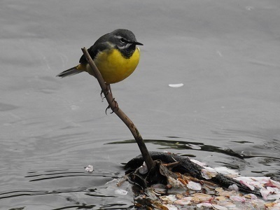 DSCN5306.JPG