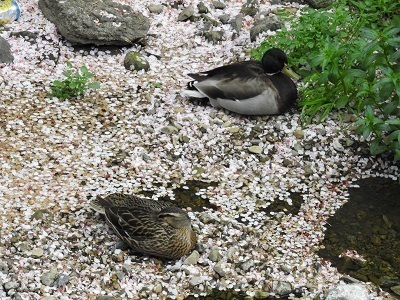 DSCN5351.JPG