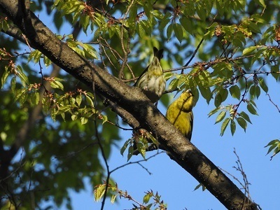 DSCN5397.JPG