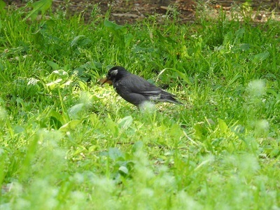 DSCN5417.JPG
