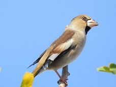 DSCN5870.JPG