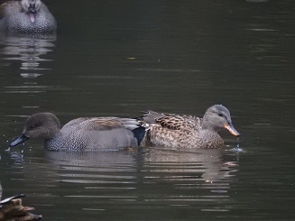 DSCN5980.JPG