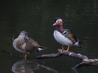 DSCN6119.JPG