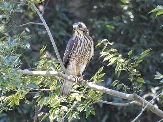 DSCN6235.JPG