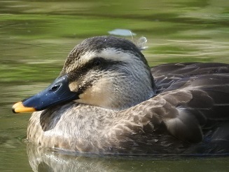 DSCN6268.JPG
