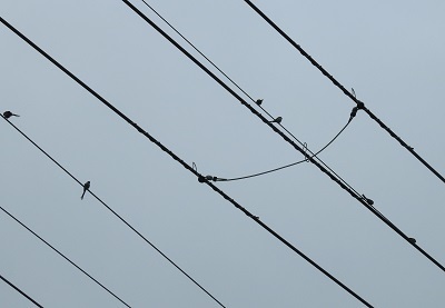 DSCN6282.JPG