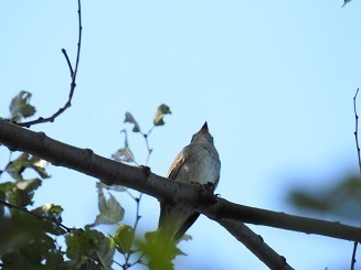 DSCN6292.JPG