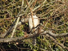 DSCN6442.JPG