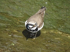 DSCN7862.JPG