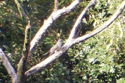 DSCN8908.JPG