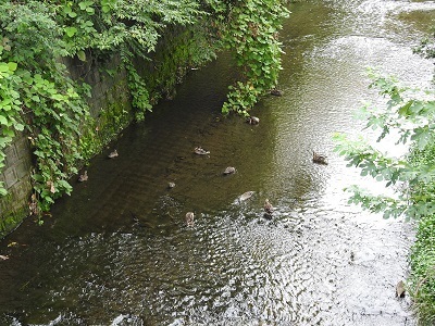 DSCN8971.JPG