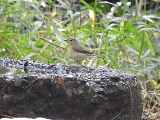 DSCN9458.JPG