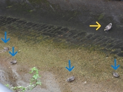 DSCN9464.JPG