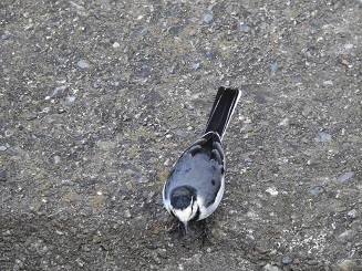 DSCN9924.JPG