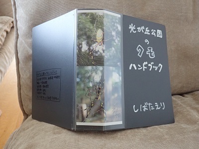 クモ展示.jpg