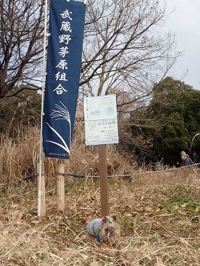 武蔵野茅原組合.JPG