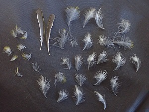 P2020230.JPG