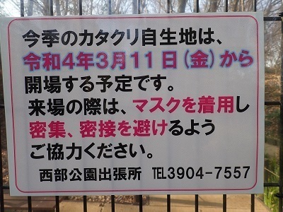 P3111911.JPG
