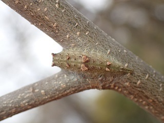 P3246440.JPG