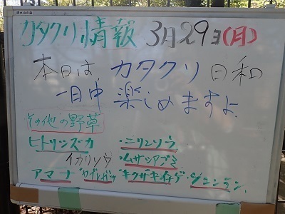 P3290538.JPG