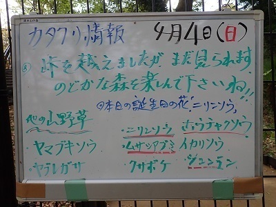 P4040635.JPG