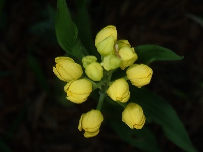 P4100724.JPG