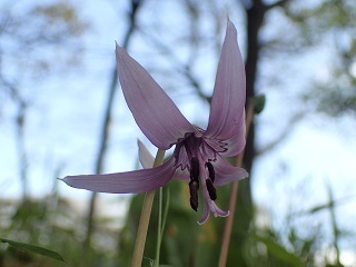 P4152200.JPG