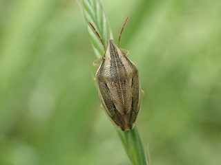 P5128356.JPG