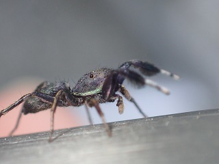 P5265040.JPG