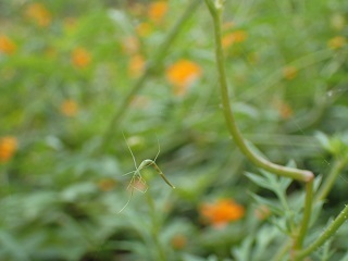 PA133039.JPG