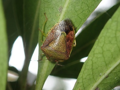 PB021725.JPG